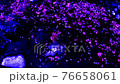 [Sakura-SAKURA] Fantastic cherry blossom petals flowing through the river | Meteor shower of petals [4K video] 76658061