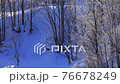 北海道美瑛のダイヤモンドダスト 76678249