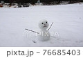 雪だるま3 76685403