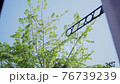 Scenery seen from the window, trees swaying in the wind, spring 76739239