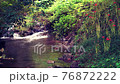 谷 水 自然 76872222
