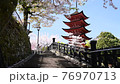 Miyajima's five-storied pagoda and fluttering cherry blossoms 76970713
