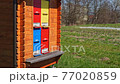 Honey bees flying into the colourful hive. Apiculture 77020859