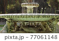 Close up of Sea Horse Fountain in Villa Borghese. Transparent aqua flowing and splashing in slomo 77061148