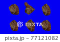 落ち葉ループ素材_05 77121082