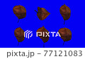 落ち葉ループ素材_04 77121083