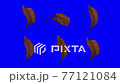 落ち葉ループ素材_03 77121084