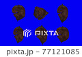 落ち葉ループ素材_02 77121085