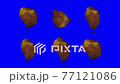 落ち葉ループ素材_01 77121086