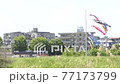 鯉のぼりのある風景 77173799