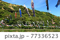 Video of carp streamer over the river 77336523