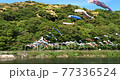 Video of carp streamer over the river 77336524