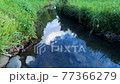 White clouds reflected on the surface of the stream 77366279