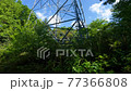 Looking up at the steel tower in the forest 77366808