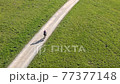 Woman cycling along dirt road across the meadow. 77377148