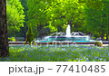 [4K recording, with audio] Spring in Japan Nemophila in Hibiya Park, Chiyoda-ku, Tokyo [zoomout / 15sec] 77410485