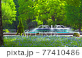 [4K recording, with audio] Spring in Japan Nemophila in Hibiya Park, Chiyoda-ku, Tokyo [zoomin / 15sec] 77410486