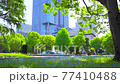 [4K recording, with audio] Spring in Japan Nemophila in Hibiya Park, Chiyoda-ku, Tokyo [zoomout / 15sec] 77410488