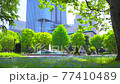 [4K recording, with audio] Spring in Japan Nemophila in Hibiya Park, Chiyoda-ku, Tokyo [zoomin / 15sec] 77410489