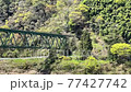 廢線三光線鐵路橋 77427742