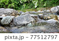 Riverside scenery in Chichibu, Saitama Prefecture, Japan. The flow of Ashigakubo and Yokose River in Chichibu. May scenery. 77512797