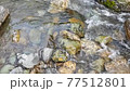 Riverside scenery in Chichibu, Saitama Prefecture, Japan. The flow of Ashigakubo and Yokose River in Chichibu. May scenery. 77512801