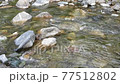 Riverside scenery in Chichibu, Saitama Prefecture, Japan. The flow of Ashigakubo and Yokose River in Chichibu. May scenery. 77512802