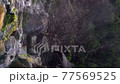 Activity of natural volcanic sulfuric hot springs, clouds of hot gas, steam. 77569525