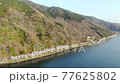 Kaizu Osaki, Shiga Prefecture "Scenery of cherry blossoms coloring the shores of Lake Biwa" 77625802