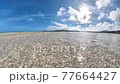 [Okinawa material] A cut of highly transparent waves taken at the very limit of the water surface 77664427