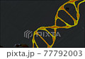 Conceptual loopable 3D animation of a DNA molecule model 77792003