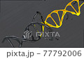 Conceptual loopable 3D animation of a DNA molecule model 77792006