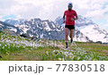 Mountain runner on flowers of flowers in spring. In slow motion Mountain runner on flowers of flowers in spring. In slow motion 77830518