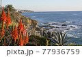 Scenic Arch at Laguna Beach California coast with flowers 77936759