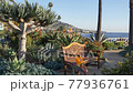 Scenic bench at Laguna Beach California coast with flowers 77936761