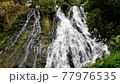 World heritage Shiretoko tourist attraction "Oshinkoshin no Taki" 77976535