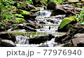 A river babbling in the forest and the soothing natural sounds 77976940