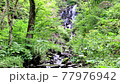 Rivers babbling in the forest and soothing natural sounds (waterfalls and downstream) 77976942