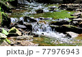 A river babbling in the forest and the soothing natural sounds and chirping of birds 77976943