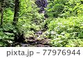 Rivers babbling in the forest and soothing natural sounds (waterfalls and downstream) 77976944