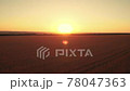 Field of wheat at sunset. Camera is moving from down to up revealing horizon and yellow sun. Aerial shot 78047363