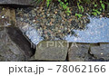 小川の水の流れを追いかける スロー 78062166