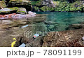 にこ淵の水面 78091199