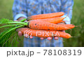 Farmer holding in hands biological product of carrots. Concept: Farmer's market, Organic Farming, Farm Harvest Crop, bio products, grow vegetables, vegetarians, natural clean fresh product, Close up 78108319