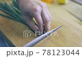 ネギを切る 78123044