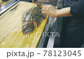 ヒラメを裁く 78123045