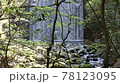 砂防ダムの滝 78123095