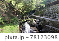 糸島　白糸の滝 78123098