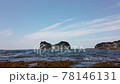圓月島和海藻在海浪中搖曳（和歌山縣白浜町） 78146131