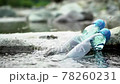 Summer scene: Ramune bottle chilled in Kawahara 78260231